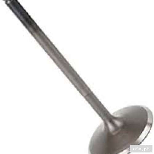 Part Number : 0452383 INTAKE VALVE  - Peça Polaris