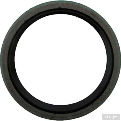 Part Number : 3610028 HUB STRUT SEAL  - Peça Polaris